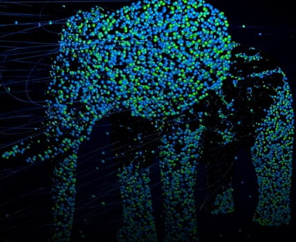virtual elephant image