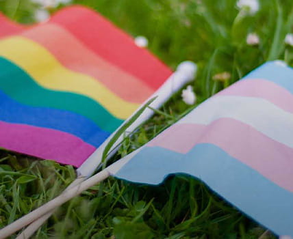 rainbow lgbtqia pride flag and transgender pride