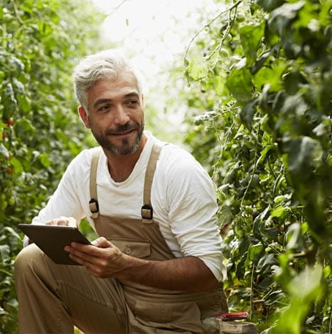 man happily working in orchard