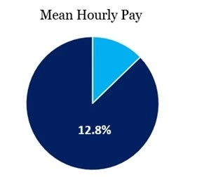 mean hourly pay pie chart