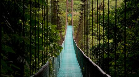 Hanging bridge in nature