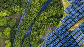 solar panels among roads and trees
