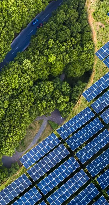 solar panels among trees and roads
