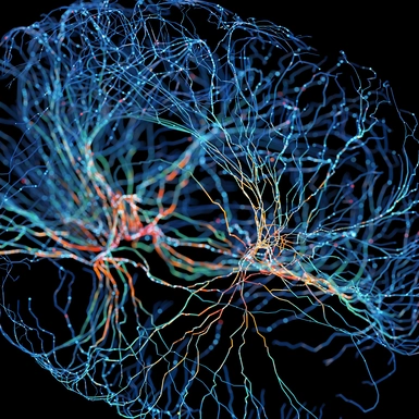 System of neurons with glowing connections on black background