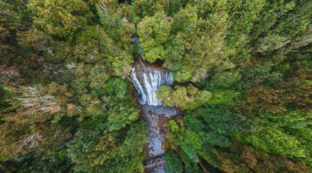 waterfall among rainforest trees