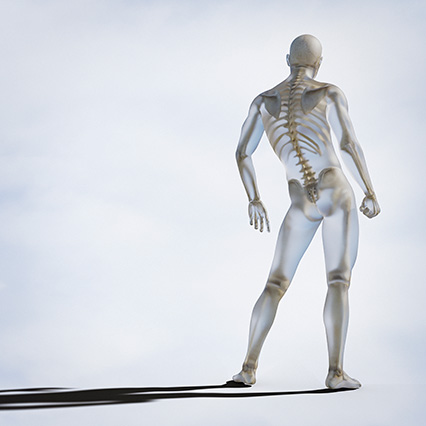 Human Skelton Inside Transparent Body