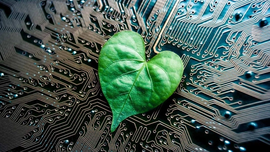 Green-heart-leaf