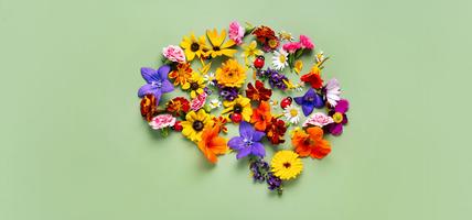 colorful flowers in share of human brain