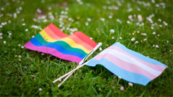 pride flags in grass