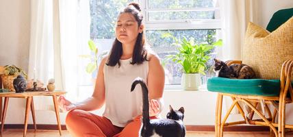woman doing yoga while cat walks by