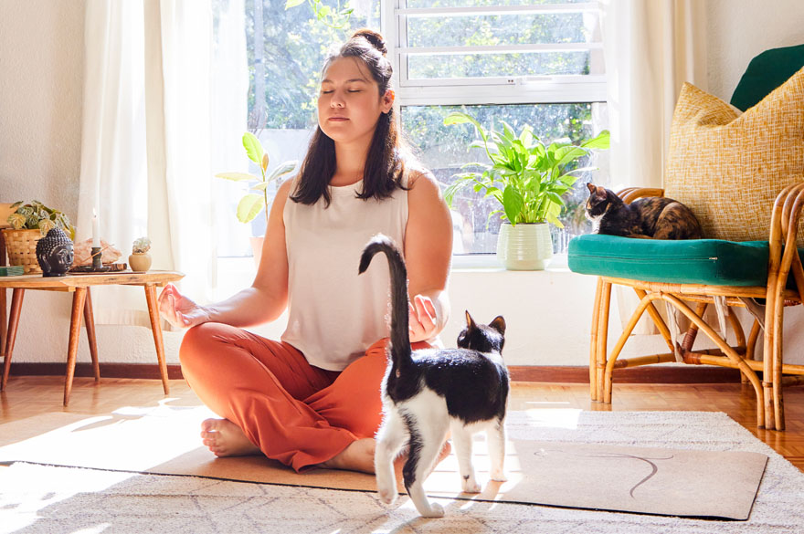 woman doing yoga while cat walks by