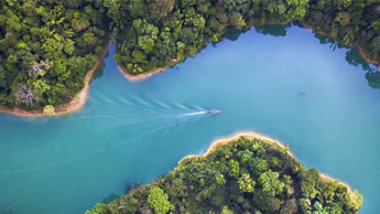 tiny boat in blue water surrounded by lush greenery