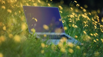 laptop in field of greenery and yellow flowers