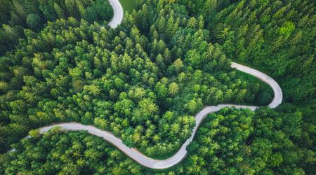 Idyllic winding road through the green pine forest