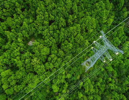 Aerial view of power line through alpine forest